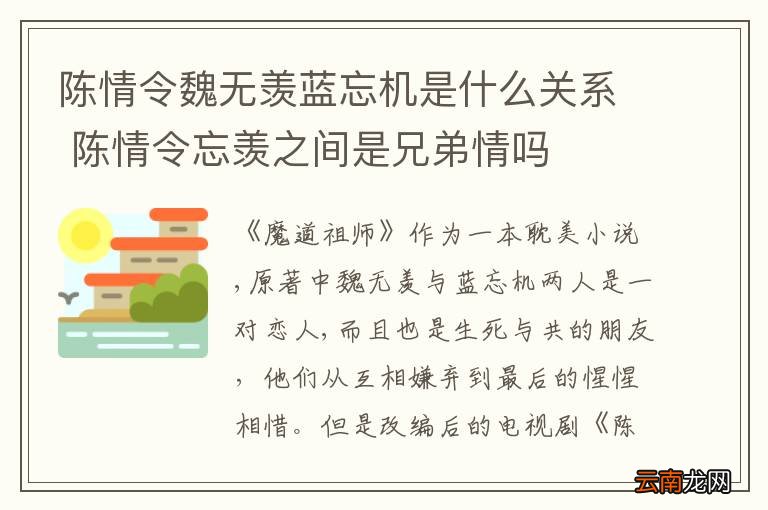 陈情令魏无羡蓝忘机是什么关系 陈情令忘羡之间是兄弟情吗