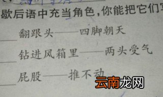 风箱里的老鼠的歇后语是什么 两头受气前一句是什么