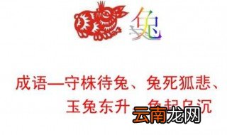 兔死狐悲成语故事 超易懂的