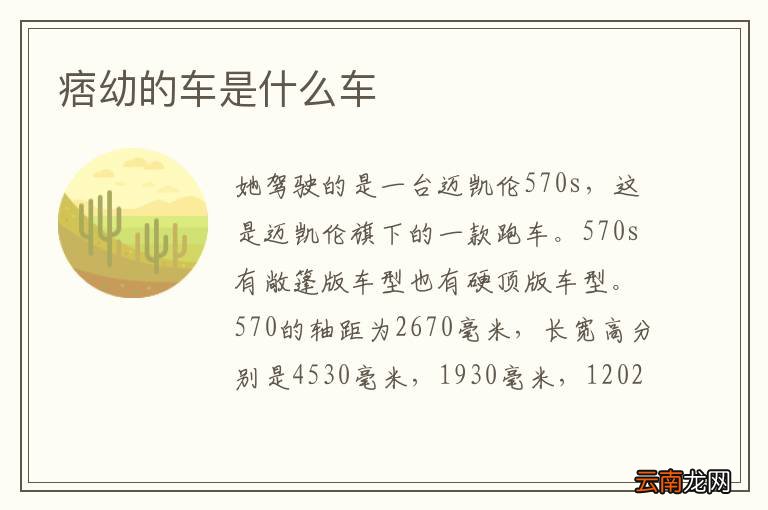 痞幼的车是什么车
