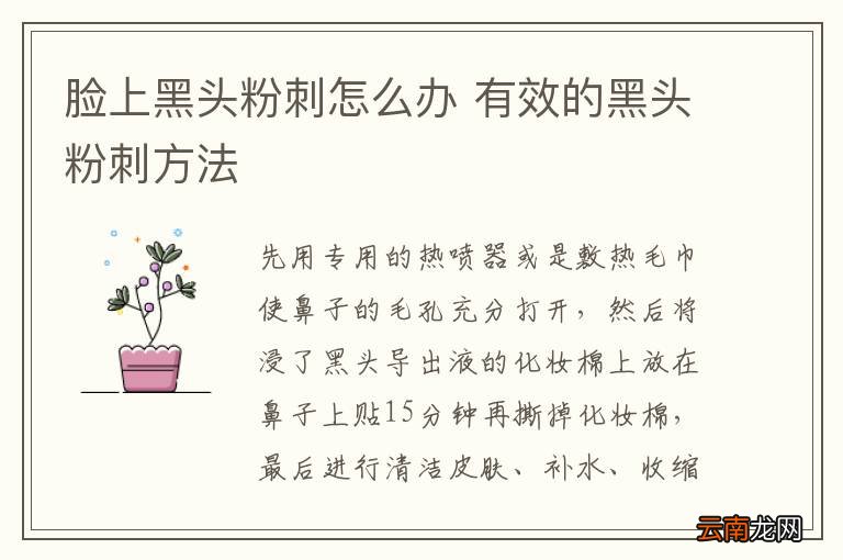 脸上黑头粉刺怎么办 有效的黑头粉刺方法