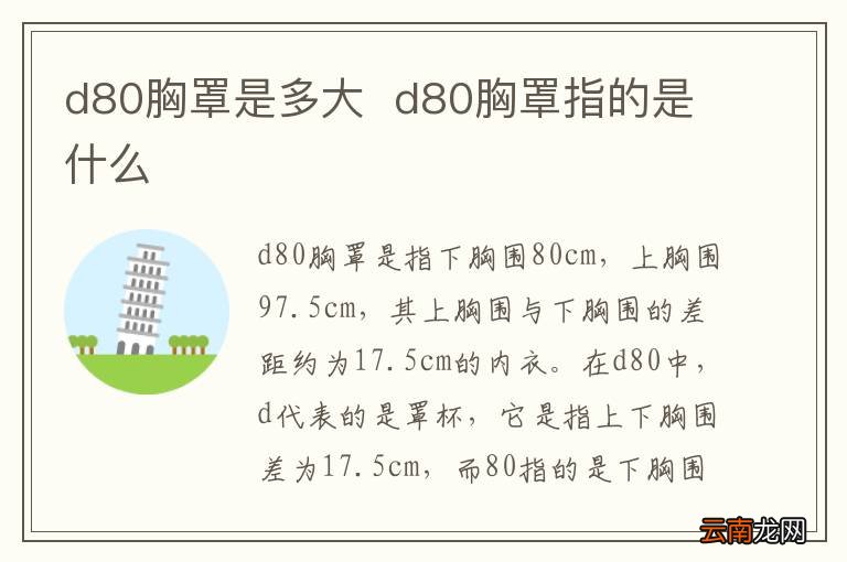 d80胸罩是多大d80胸罩指的是什么