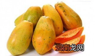 青木瓜没熟怎么吃 木瓜的功效与作用