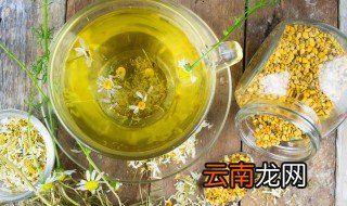贡菊泡水的功效与作用 这些功效你知道吗