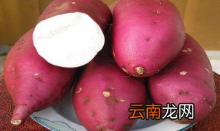 地瓜发紫色的芽可以吃吗 地瓜的营养功效与作用