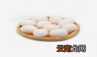 鸽子蛋蒸10分钟还没凝固能吃吗 鸽子蛋的营养价值及功效