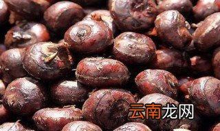 马蹄煮水的功效与作用 马蹄煮水的功效与作用简述