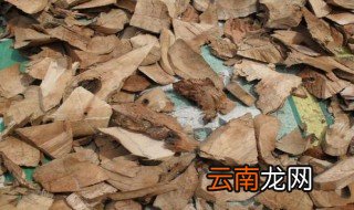 算盘子根的功效与作用 算盘子根的功效与作用简述