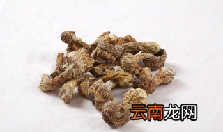 赤松茸怎么保存 怎么保存赤松茸