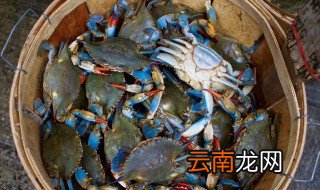 生海蟹怎么保存吗 怎么保存生海蟹