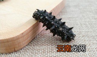 海参泡好后怎么保存 怎么保存泡好后的海参
