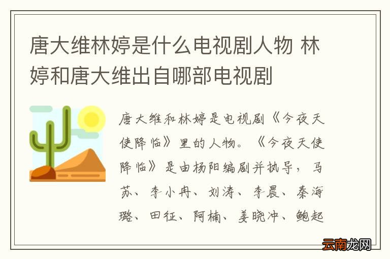 唐大维林婷是什么电视剧人物 林婷和唐大维出自哪部电视剧