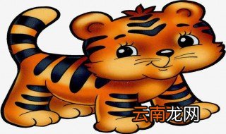 丙寅年是哪一年 丙寅年的介绍