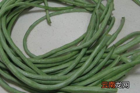 长豆角的种植方法和时间