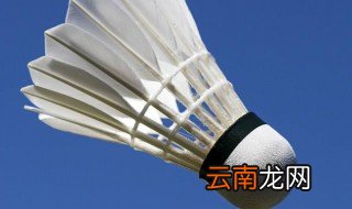 双人羽毛球怎么打 双人羽毛球打法规则