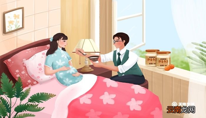 如梦之梦故事内容 如梦之梦讲的什么故事