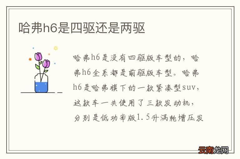 哈弗h6是四驱还是两驱