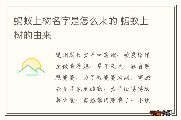 蚂蚁上树名字是怎么来的 蚂蚁上树的由来