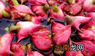 菱角的功效与宜忌 有知道的吗