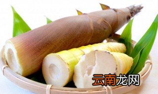 春笋怎么保存到冬天 春笋如何保存到冬天