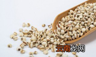 薏米怎么保存不生虫 薏米如何保存不生虫
