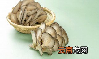 海鲜菇怎么保存 海鲜菇如何保存