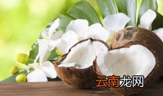 椰子肉怎么保存 椰子肉如何保存