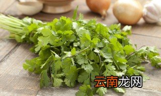 香菜吃不完怎么保存 香菜吃不完如何保存