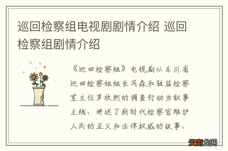 巡回检察组电视剧剧情介绍 巡回检察组剧情介绍