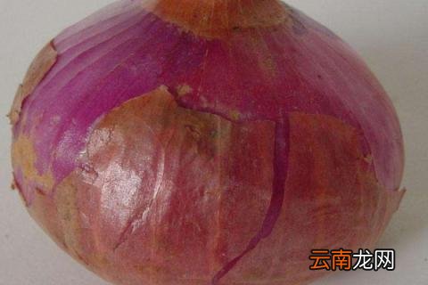 洋葱与圆葱的区别