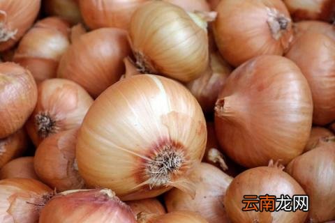 洋葱与圆葱的区别
