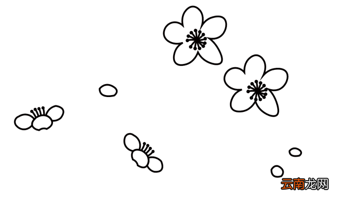 梅花配图简笔画 梅花配图简笔画怎么画