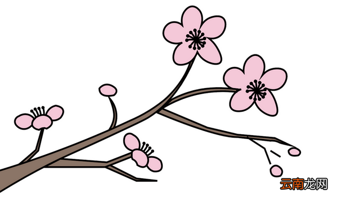 梅花配图简笔画 梅花配图简笔画怎么画
