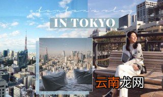 如何制作vlog封面 我们总结出这些技巧