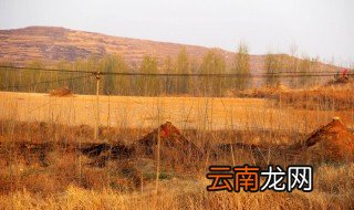 10月1日能提前上坟吗 我不推荐