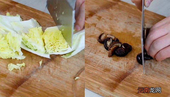 白菜炖鸡块的做法 白菜炖鸡块怎么做