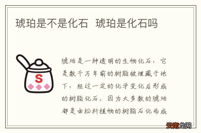 琥珀是不是化石琥珀是化石吗