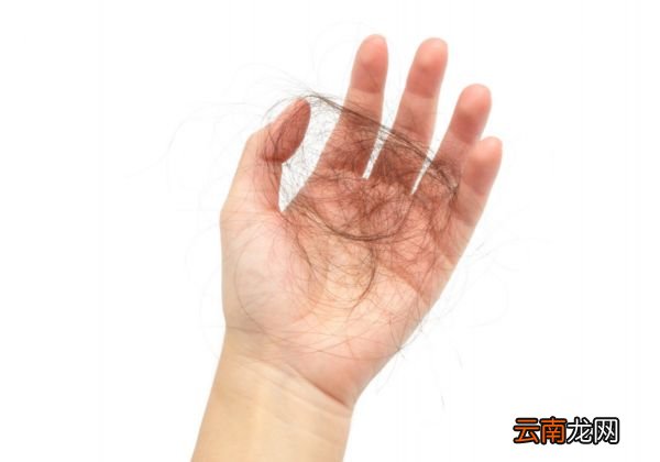 白头发真的会越拔越多吗白头发出现的原因