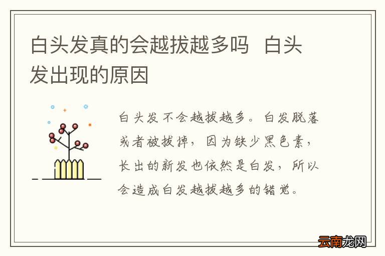 白头发真的会越拔越多吗白头发出现的原因