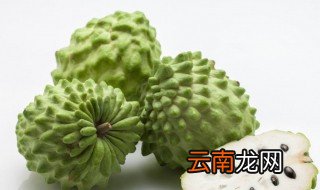 番荔枝的功效与作用 主要有这些方面