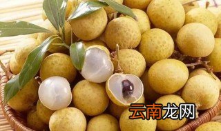 新鲜龙眼的功效与作用 新鲜龙眼的营养价值