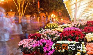 鲜花放冰箱怎么保存 鲜花放冰箱如何保存