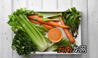 新鲜地皮菜怎么保存 怎么保存新鲜地皮菜