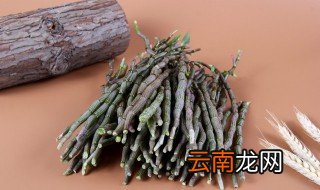 新鲜铁皮石斛怎么保存方法 怎么保存新鲜铁皮石斛