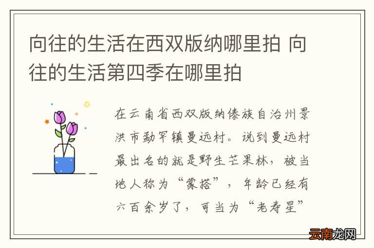 向往的生活在西双版纳哪里拍 向往的生活第四季在哪里拍
