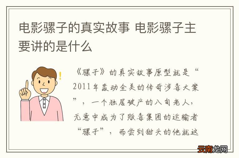 电影骡子的真实故事 电影骡子主要讲的是什么