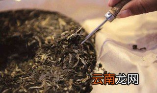 茶叶发酵是什么意思 影响发酵的因素有哪些