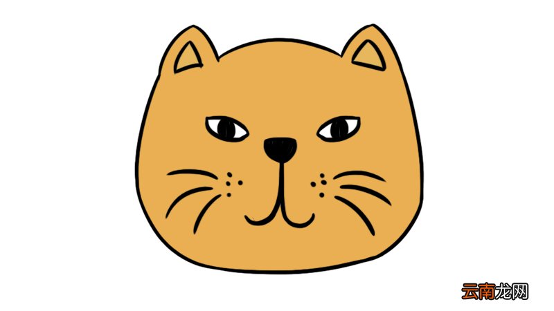 猫头简笔画 猫头的简单画法