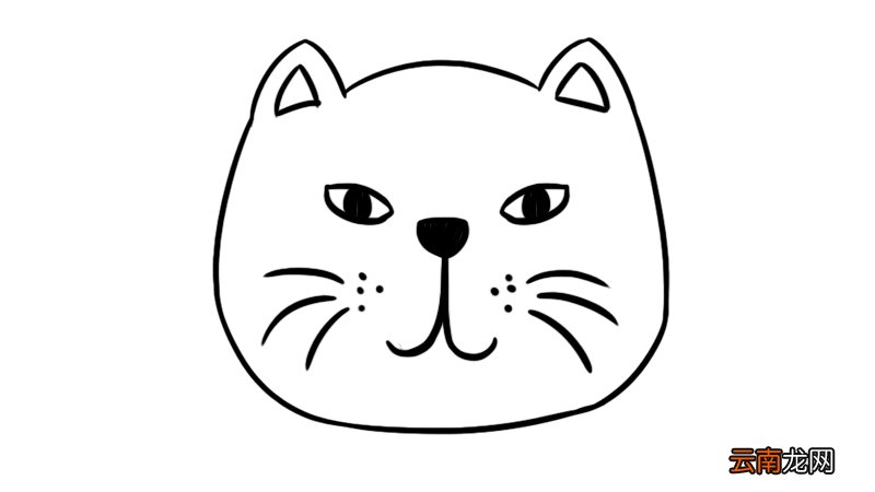 猫头简笔画 猫头的简单画法