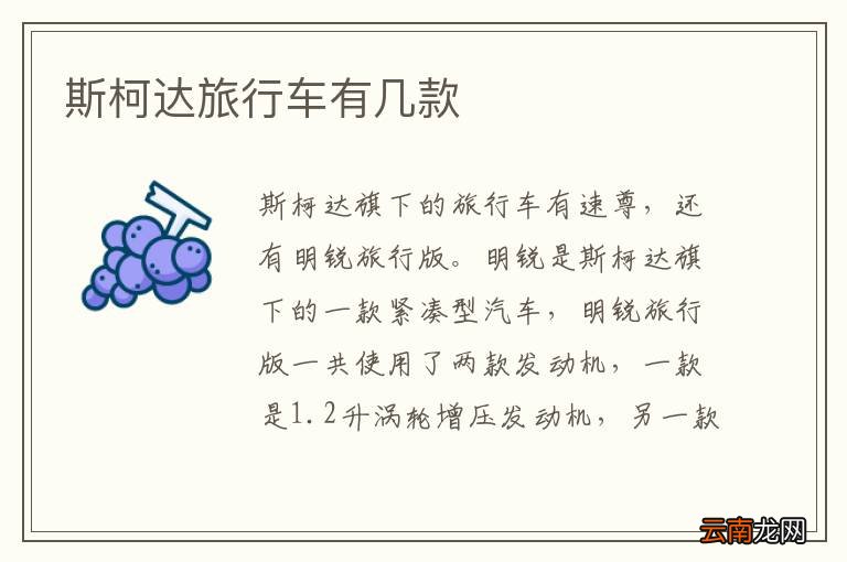 斯柯达旅行车有几款